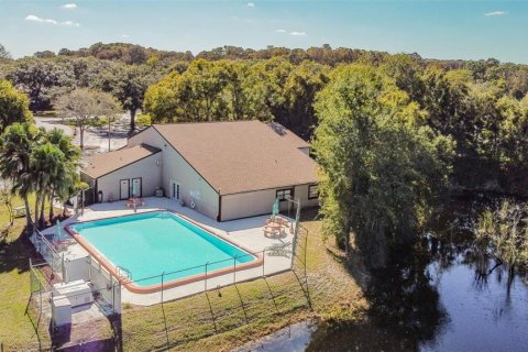 Condo in New Port Richey, Florida, 2 bedrooms  № 1515009 - photo 10