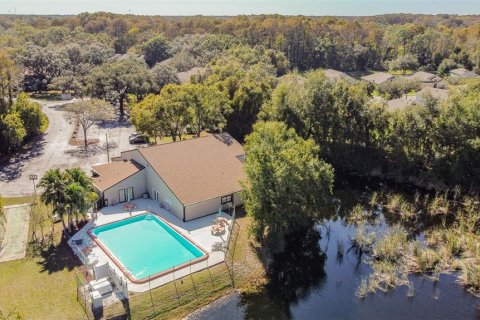 Condo in New Port Richey, Florida, 2 bedrooms  № 1515009 - photo 11