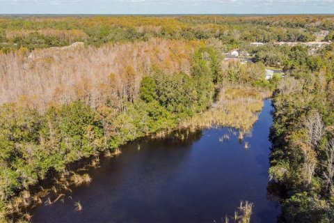 Condo in New Port Richey, Florida, 2 bedrooms  № 1515009 - photo 12