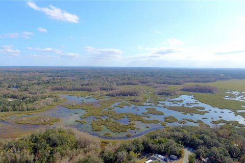 Land in Floral City, Florida № 2159709