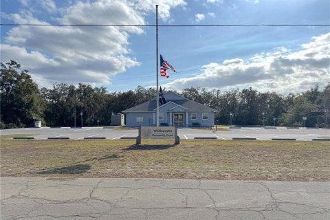 Land in Floral City, Florida № 2159709 - photo 5