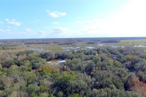 Land in Floral City, Florida № 2159709 - photo 2