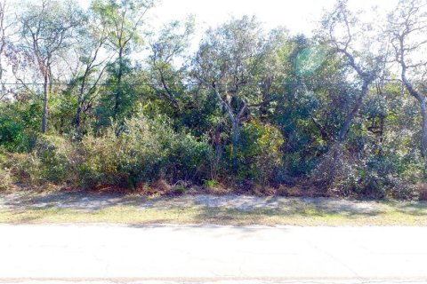 Land in Floral City, Florida № 2159709 - photo 7