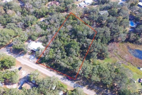 Land in Floral City, Florida № 2159709 - photo 4