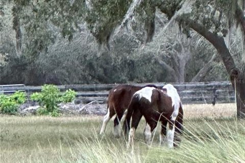 Villa ou maison à vendre à Groveland, Floride: 4 chambres, 171.22 m2 № 1662729 - photo 27
