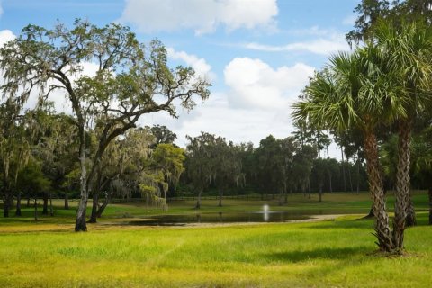 Terrain à Reddick, Floride № 2355001