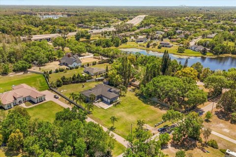 Villa ou maison à vendre à Lutz, Floride: 4 chambres, 320.79 m2 № 1625699 - photo 2