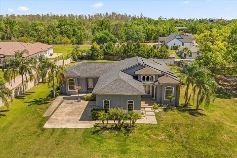 Villa ou maison à vendre à Lutz, Floride: 4 chambres, 320.79 m2 № 1625699 - photo 1