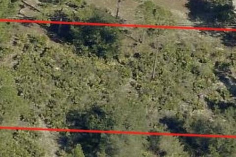 Land in Lehigh Acres, Florida № 2359103