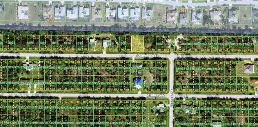 Land in Punta Gorda, Florida № 2163262