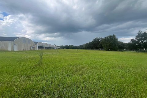Land in Apopka, Florida № 2108935 - photo 5