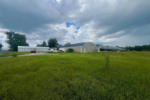 Land in Apopka, Florida № 2108935 - photo 6