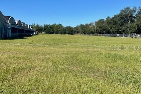 Land in Apopka, Florida № 2108935 - photo 4