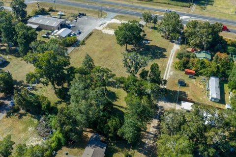 Land in Ocala, Florida № 2106274 - photo 25