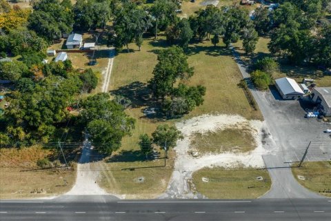 Land in Ocala, Florida № 2106274 - photo 8