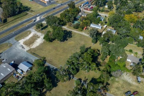 Land in Ocala, Florida № 2106274 - photo 12