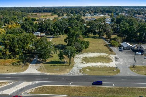 Land in Ocala, Florida № 2106274 - photo 4
