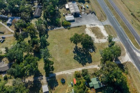 Land in Ocala, Florida № 2106274 - photo 16