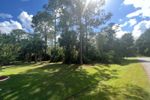 Land in Palm Coast, Florida № 771530 - photo 1