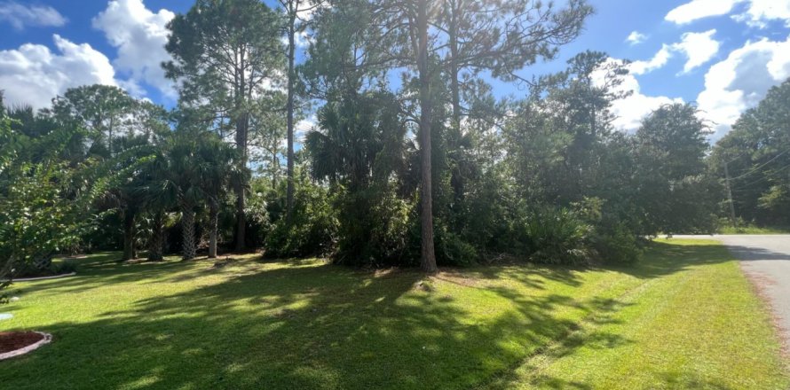 Land in Palm Coast, Florida № 771530