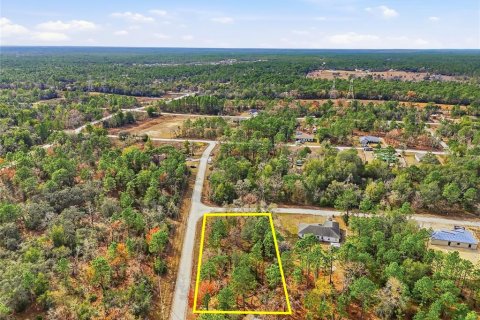 Land in Brooksville, Florida № 2213742 - photo 15