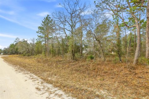 Land in Brooksville, Florida № 2213742 - photo 4