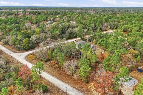 Land in Brooksville, Florida № 2213742 - photo 5