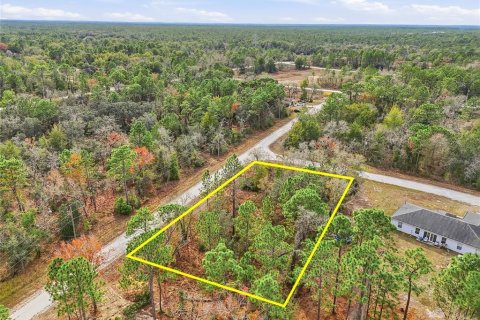 Land in Brooksville, Florida № 2213742 - photo 12