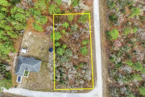 Land in Brooksville, Florida № 2213742 - photo 2
