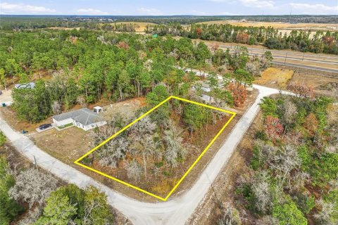 Land in Brooksville, Florida № 2213742 - photo 7