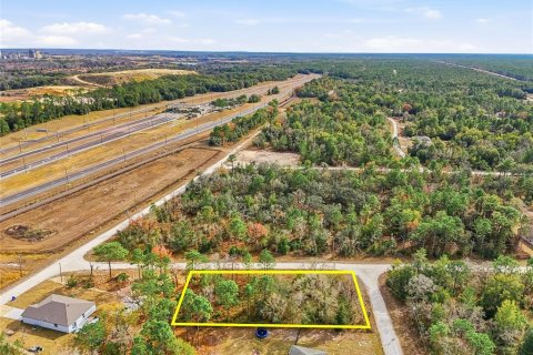 Land in Brooksville, Florida № 2213742 - photo 14