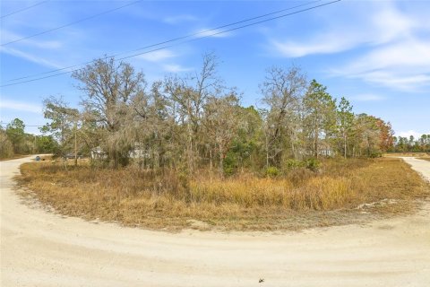 Land in Brooksville, Florida № 2213742 - photo 3
