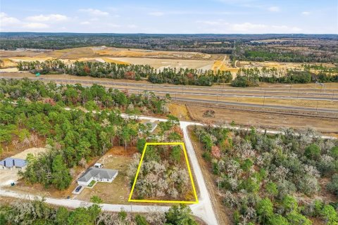 Land in Brooksville, Florida № 2213742 - photo 13