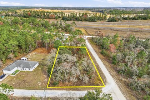 Land in Brooksville, Florida № 2213742 - photo 8