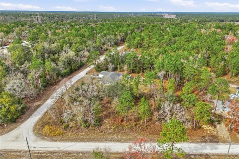 Land in Brooksville, Florida № 2213742 - photo 6