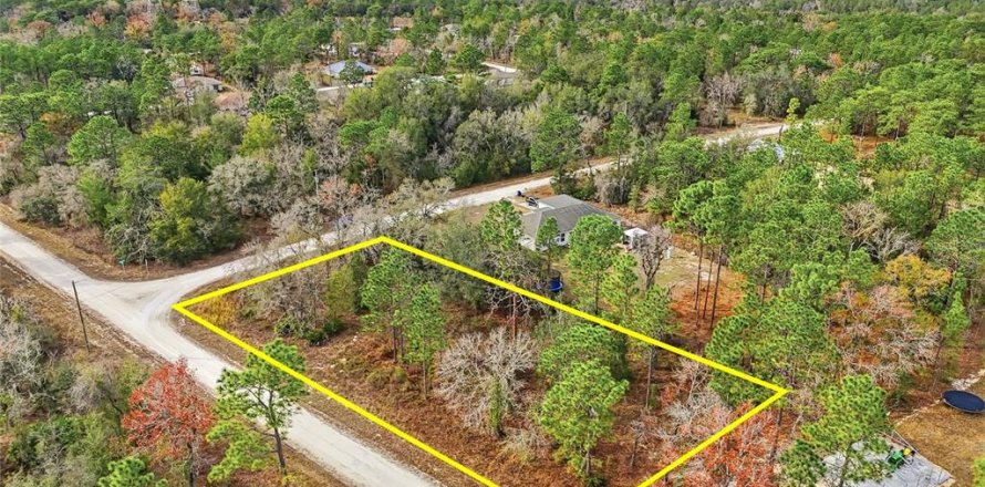 Land in Brooksville, Florida № 2213742