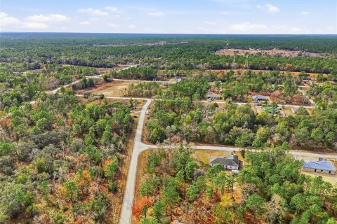 Land in Brooksville, Florida № 2213742 - photo 16