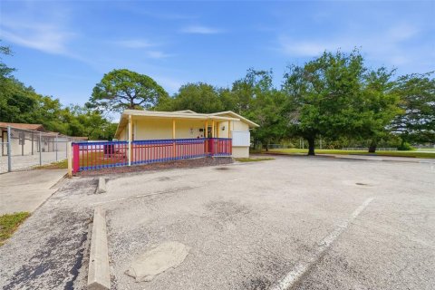 Commercial property in Clearwater, Florida 244.05 sq.m. № 2122997 - photo 3