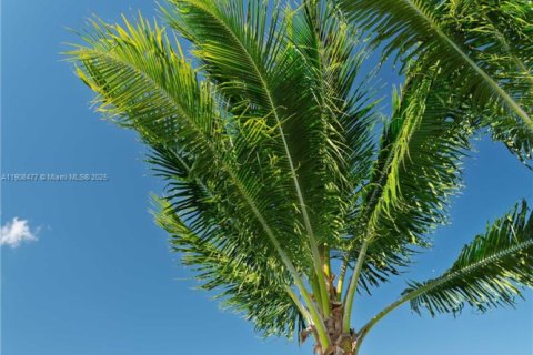 Villa ou maison à louer à Pompano Beach, Floride: 3 chambres, 136.57 m2 № 1967929 - photo 23