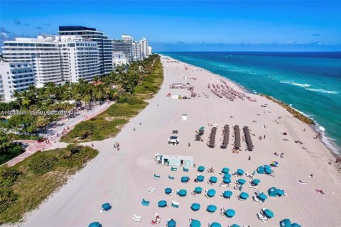 Condominio en alquiler en Miami Beach, Florida, 1 dormitorio, 43.76 m2 № 2002917 - foto 17