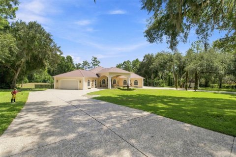 Villa ou maison à Brooksville, Floride 4 chambres, 474.17 m2 № 2324994
