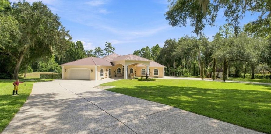 Casa en Brooksville, Florida 4 dormitorios, 474.17 m2 № 2324994