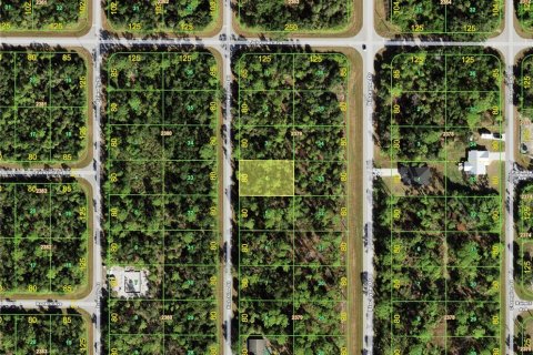 Land in Port Charlotte, Florida № 2384154