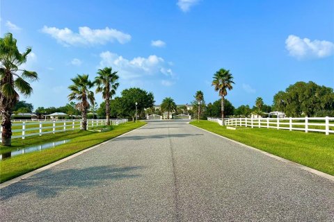 Terreno en venta en Webster, Florida № 1879200 - foto 11