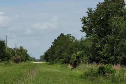 Land in Okeechobee, Florida № 2275442 - photo 2