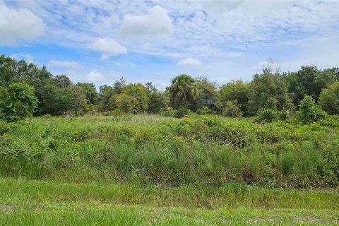 Land in Okeechobee, Florida № 2275442 - photo 10