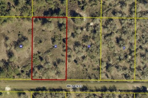 Land in Okeechobee, Florida № 2275442 - photo 17