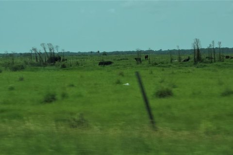 Land in Okeechobee, Florida № 2275442 - photo 14