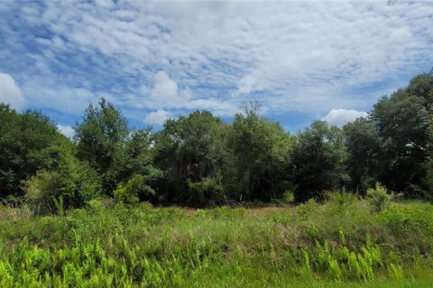 Land in Okeechobee, Florida № 2275442 - photo 6