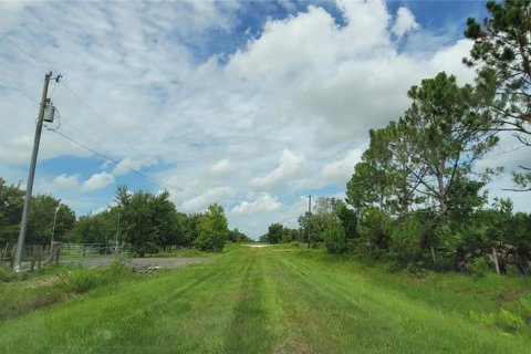 Land in Okeechobee, Florida № 2275442 - photo 15